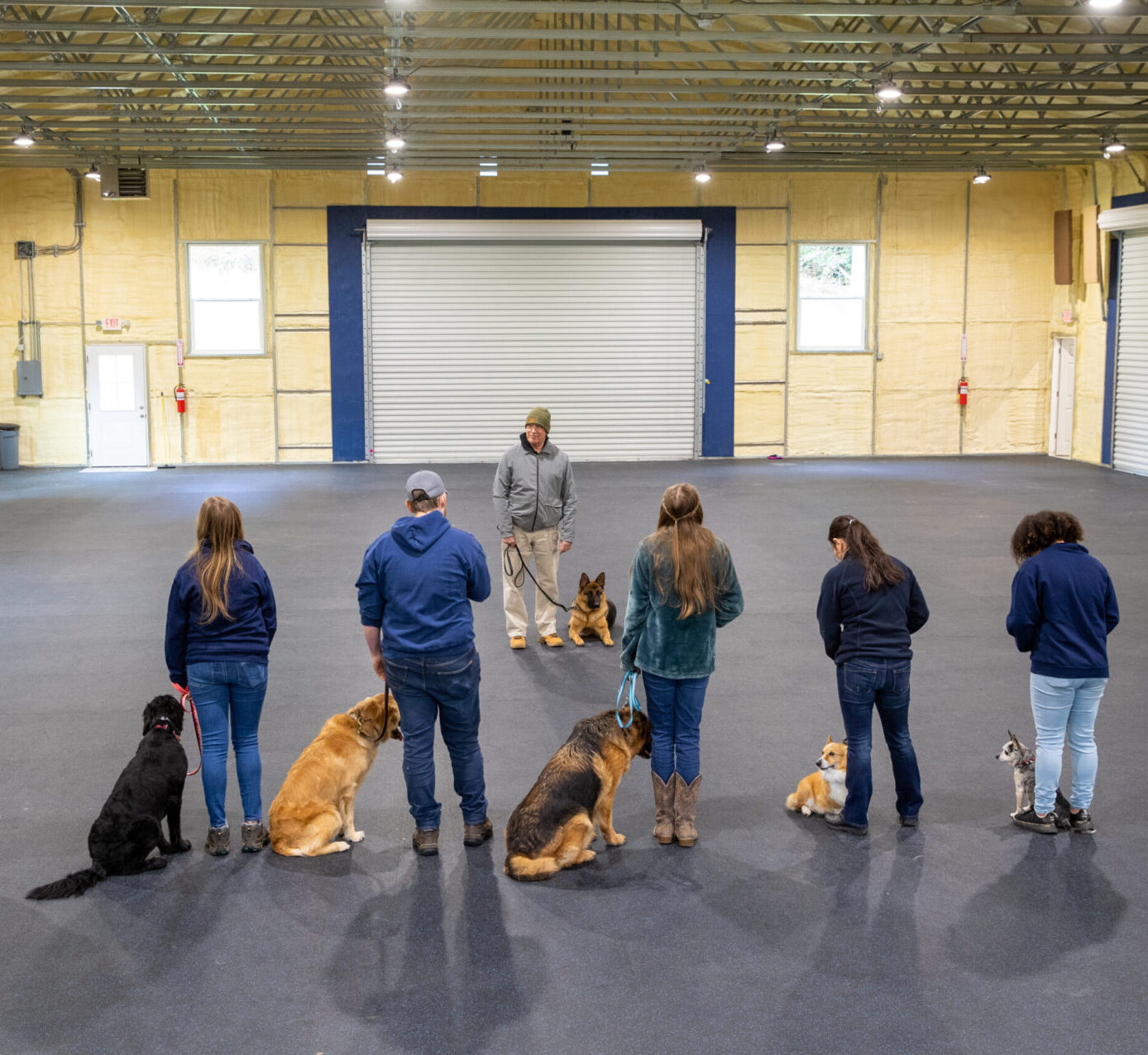 Von waldberg clearance kennels